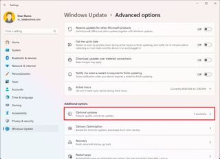 Optional updates