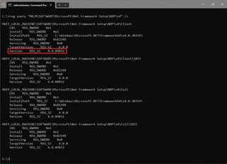 dotNet check version